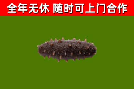 印台区烟酒回收干海参.jpg