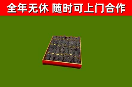 印台区回收海参